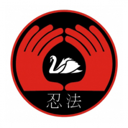 Школа боевых искусств «Белый Лебедь» - Ниндзюцу