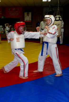 karate-2-0.jpg